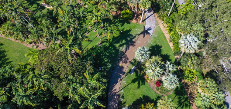 Fairchild Tropical Botanic Garden: Miami's Botanical Garden